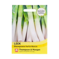 Thompson & Morgan Leek Blauwgroene Herfst Murcia
