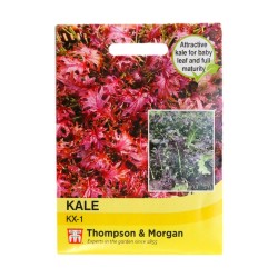 Thompson & Morgan Kale KX-1