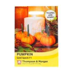 Thompson & Morgan Pumpkin Gold Speck