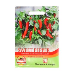 Thompson & Morgan Sweet Pepper Mamba Sweet