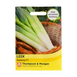Thompson & Morgan Leek Santora F1