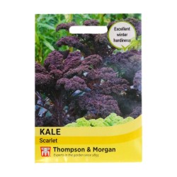 Thompson & Morgan Kale Scarlet