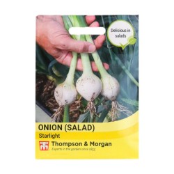 Thompson & Morgan Onion Starlight