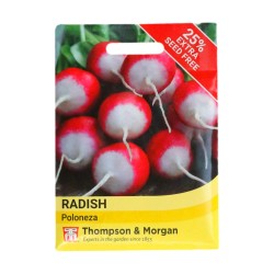 Thompson & Morgan Radish Poloneza