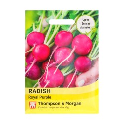 Thompson & Morgan Radish Royal Purple