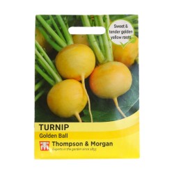 Thompson & Morgan Turnip Golden Ball