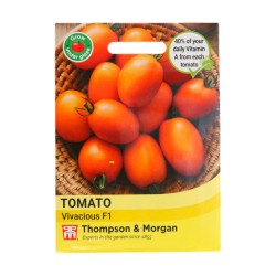 Thompson & Morgan Tomato Vivacious F1