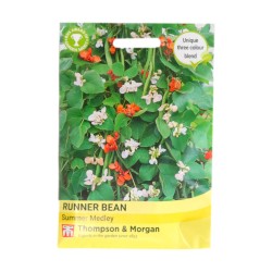 Thompson & Morgan Runner Bean Summer Medley
