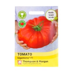 Thompson & Morgan Tomato Gigantomo F1