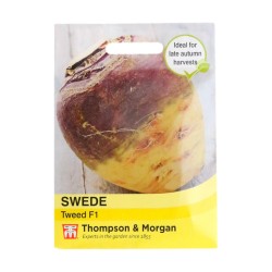 Thompson & Morgan Swede Tweed