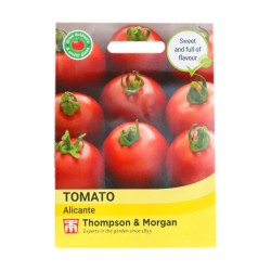 Thompson & Morgan Tomato Alicante