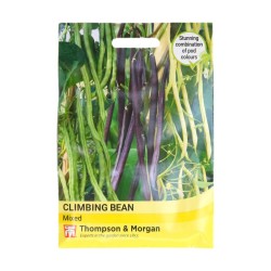 Thompson & Morgan Climbing Bean Mixed