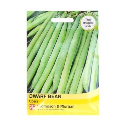 Thompson & Morgan Dwarf Bean Opera