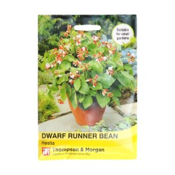 Thompson & Morgan Dwarf Runner Bean Hestia