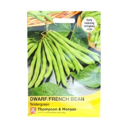 Thompson & Morgan Dwarf/ French Bean Tendergreen