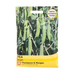 Thompson & Morgan Pea Terrain