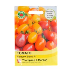Thompson & Morgan Tomato Rainbow Blend F1