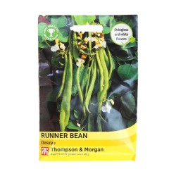 Thompson & Morgan Runner Bean Desiree
