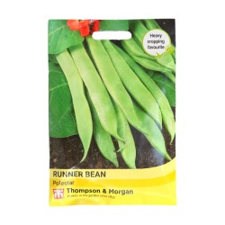 Thompson & Morgan Runner Bean Polestar