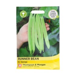 Thompson & Morgan Runner Bean St George
