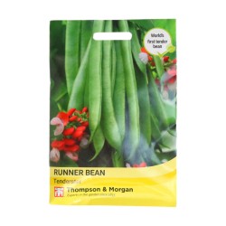 Thompson & Morgan Runner Bean Tenderstar