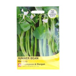 Thompson & Morgan Runner Bean White Lady