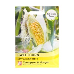Thompson & Morgan Sweetcorn Early Extra Sweet