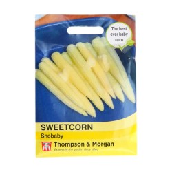 Thompson & Morgan Sweetcorn Snobaby