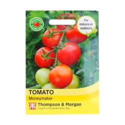 Thompson & Morgan Tomato Moneymaker