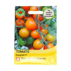 Thompson & Morgan Tomato Sungold