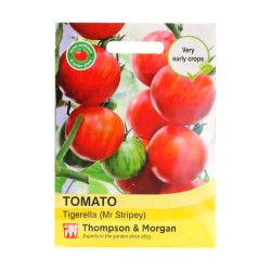 Thompson & Morgan Tomato Tigerella