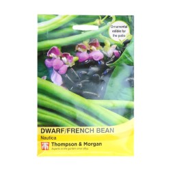 Thompson & Morgan Dwarf/French Bean Nautica