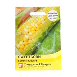 Thompson & Morgan Sweetcorn Summer Glow