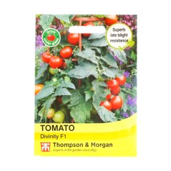 Thompson & Morgan Tomato Divinity