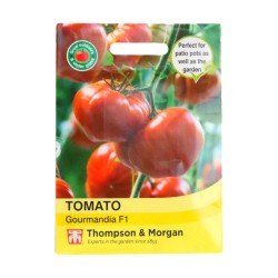 Thompson & Morgan Tomato Gourmandia