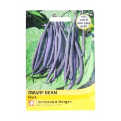 Thompson & Morgan Dwarf Bean Mistik