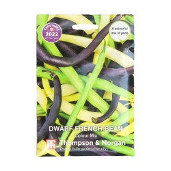 Thompson & Morgan Dwarf/ French Bean Colour Mix VOTY