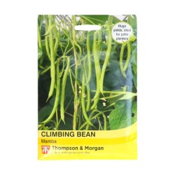 Thompson & Morgan Climbing Bean Mamba