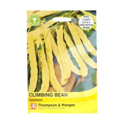 Thompson & Morgan Climbing Bean Goldfield