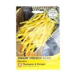 Thompson & Morgan Dwarf/French Bean Adoration