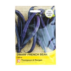 Thompson & Morgan Dwarf/French Bean Celine