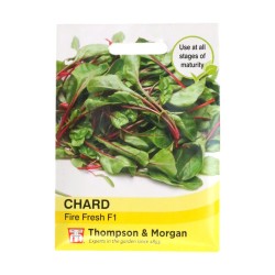 Thompson & Morgan Chard Fire Fresh
