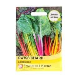 Thompson & Morgan Swiss Chard Celebration