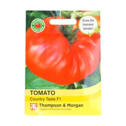 Thompson & Morgan Tomato Country Taste