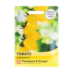 Thompson & Morgan Tomato Limoncito