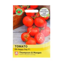 Thompson & Morgan Tomato Oh Happy Day