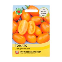 Thompson & Morgan Tomato Orange Beauty