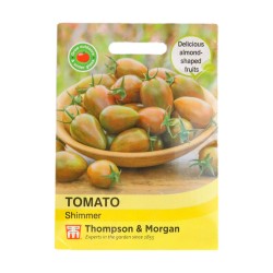 Thompson & Morgan Tomato Shimmer