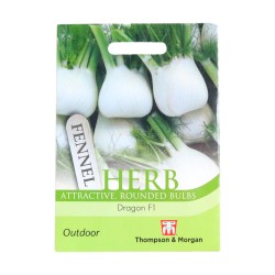 Thompson & Morgan Herb Dragon