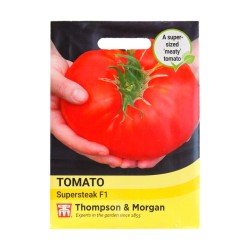 Thompson & Morgan Tomato Supersteak
